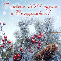 Поздравляем всех с наступающим Новым Годом и Рождеством!